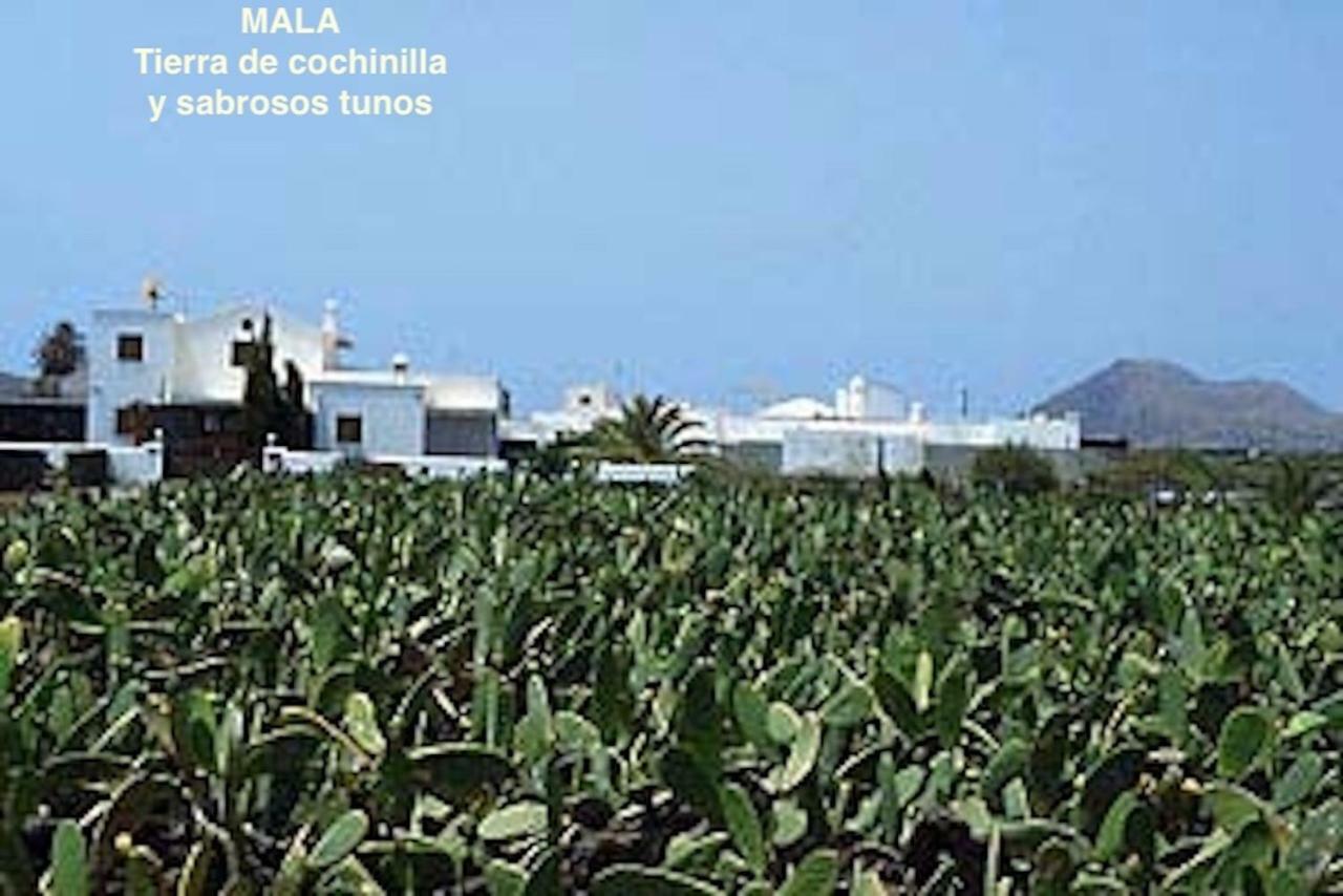 Casa GARA Mala-Lanzarote Norte Esterno foto